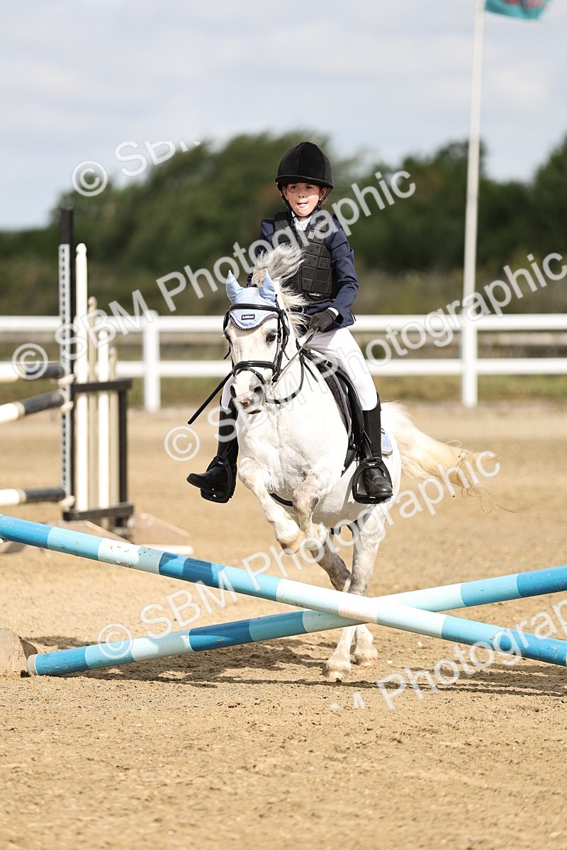 SBM_003286 - 40cm showjumping