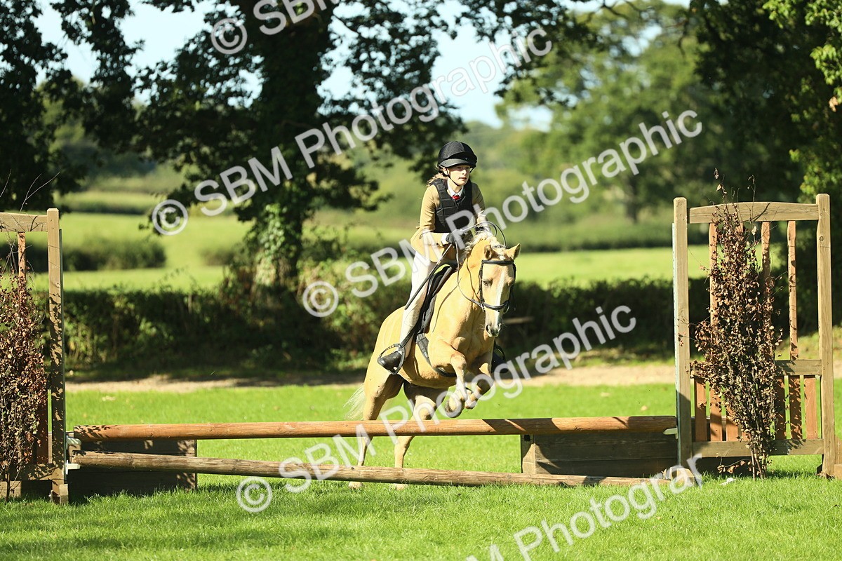 SBM_37480 - S29 - Novice & Newcomers Working Hunter Pony