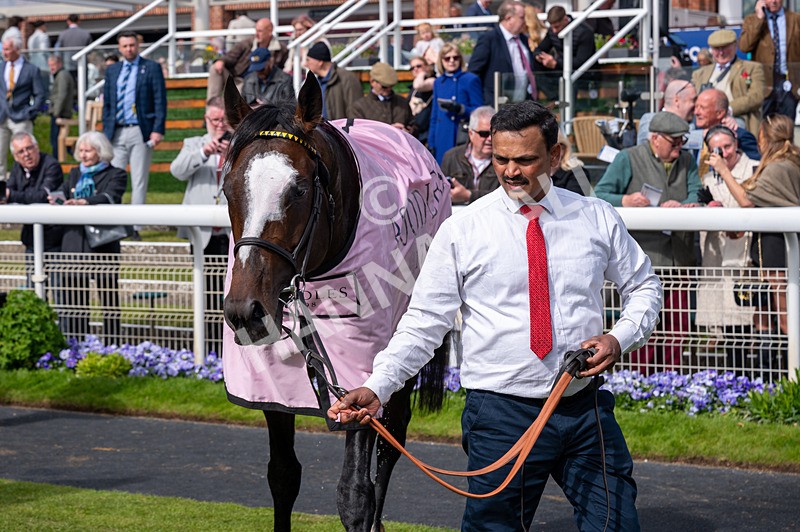 150526-Race 5-Rahiebb-3012 - Race 5 4.05pm Boodles Yorkshire Cup Stakes