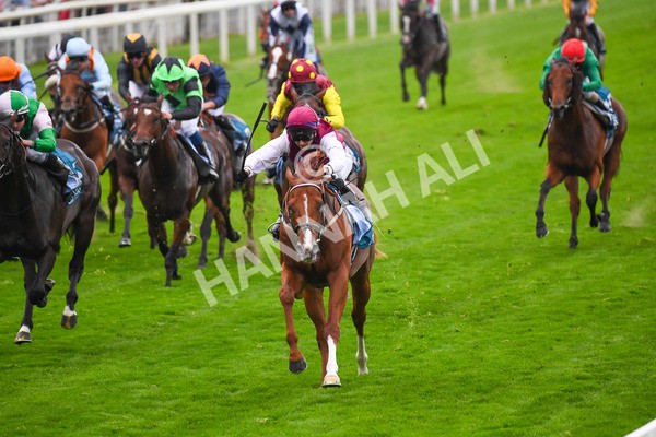 230823-Race 7-Zoulu Chief-0948 - Race 7 5.20pm Sky Bet Nursery Handicap