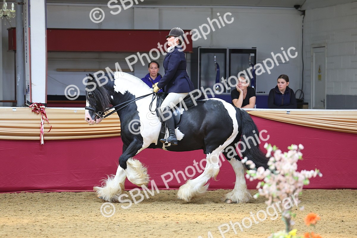 SBM_24134 - Class 905 - Supreme Final - Ridden Veteran