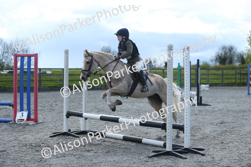 20260412-1779 - Show Jumping