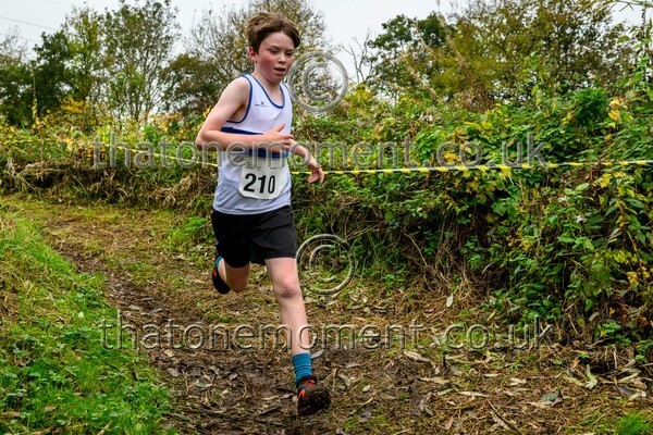 WestRLY25-812154 - Young Male Set One