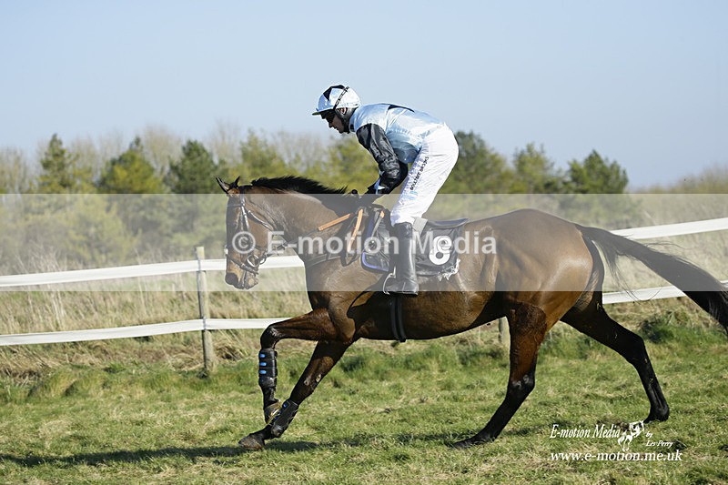 PtP 270222 177 - South & West Wilts Point-to-Point Larkhill 27/02/22