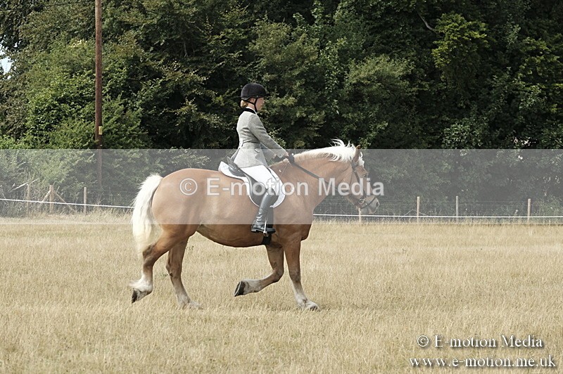 _PJP6053 - BVRC Show 2018 Ring 1