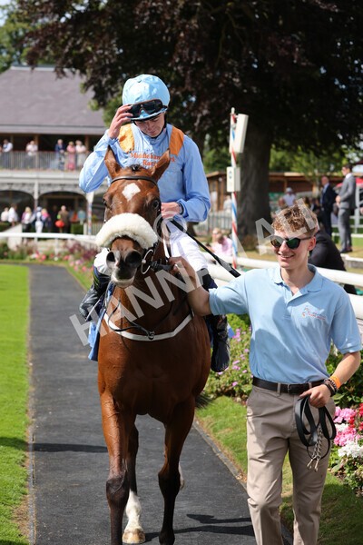 yr08072022r3-31 - Race 3 3.15pm William Hill Play Responsibly Irish EBF Novice Fillies Stakes