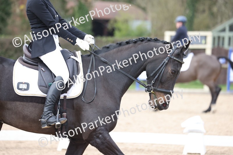 20260301-0898 - Class 6 - Elementary 5