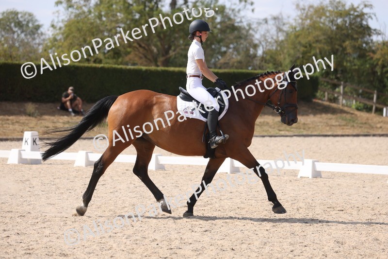 20260815-1075 - Class 6 - Novice 2