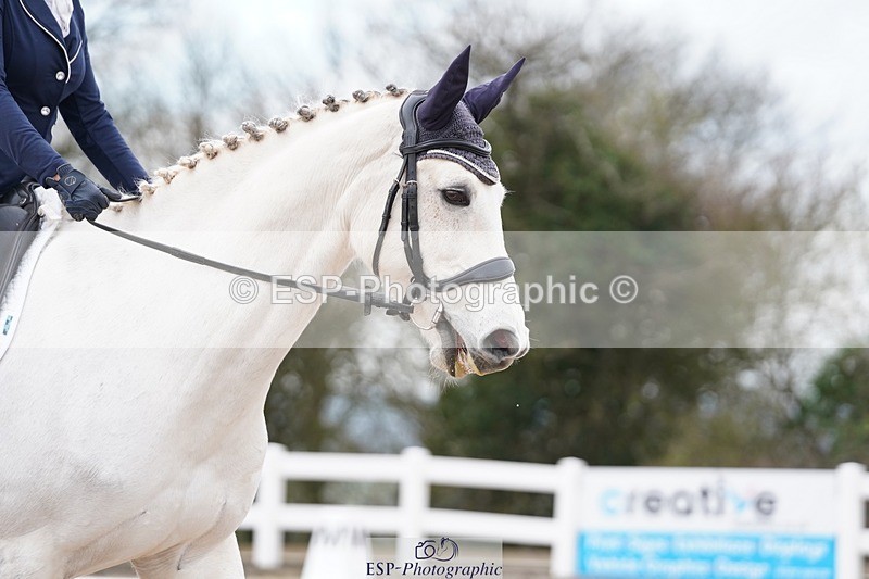 250322-123022-00365 - DR Novice 2 Test