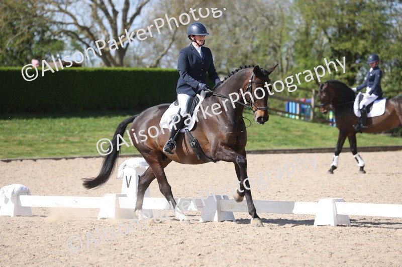 20260405-0567 - Class 7 - Medium 5