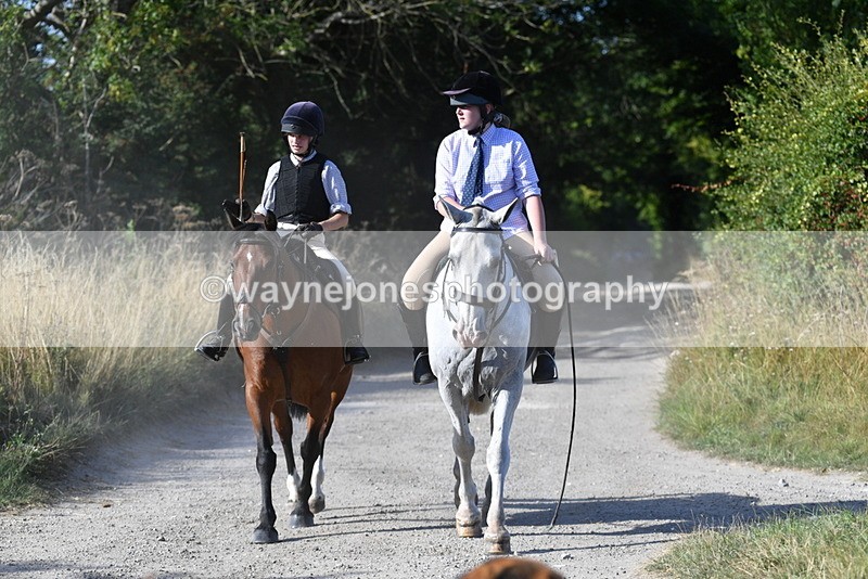 WJ5_4819 - Walk out with the hounds