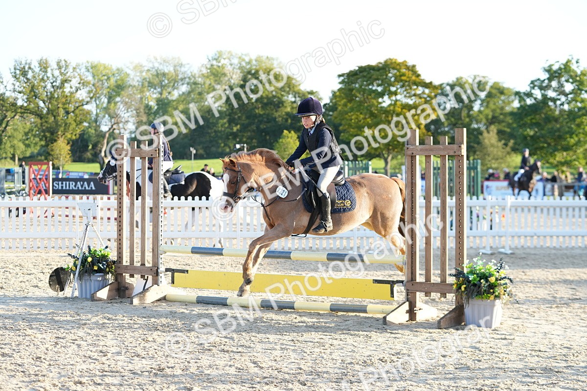 SBM_54095 - Supreme Championship 60cm 65cm