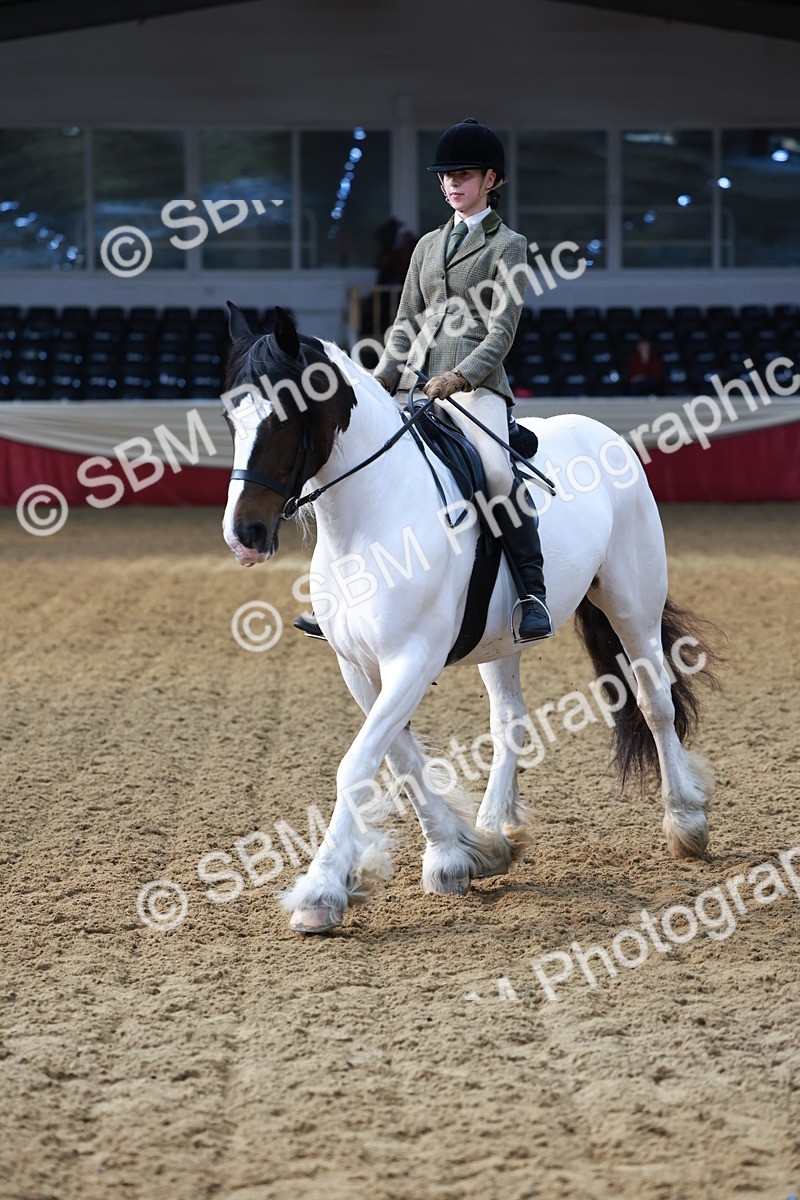 SBM_11954 - Class 102 - Equitation (Best Rider) Adult