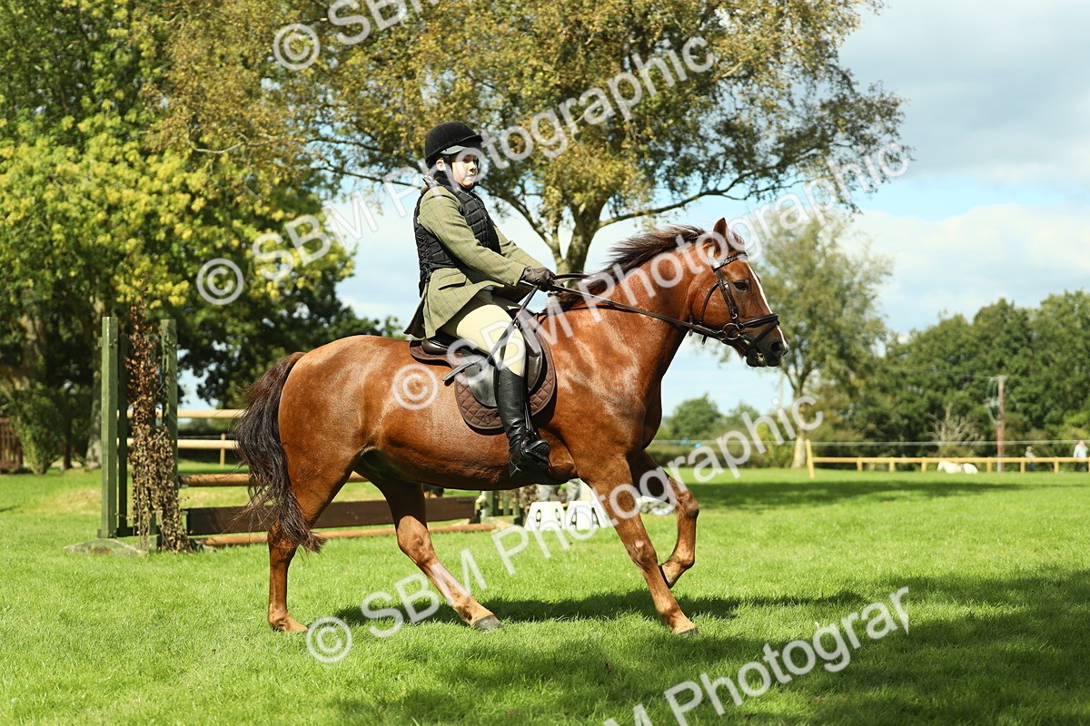 SBM_42890 - S30 - M&M Working hunter Pony