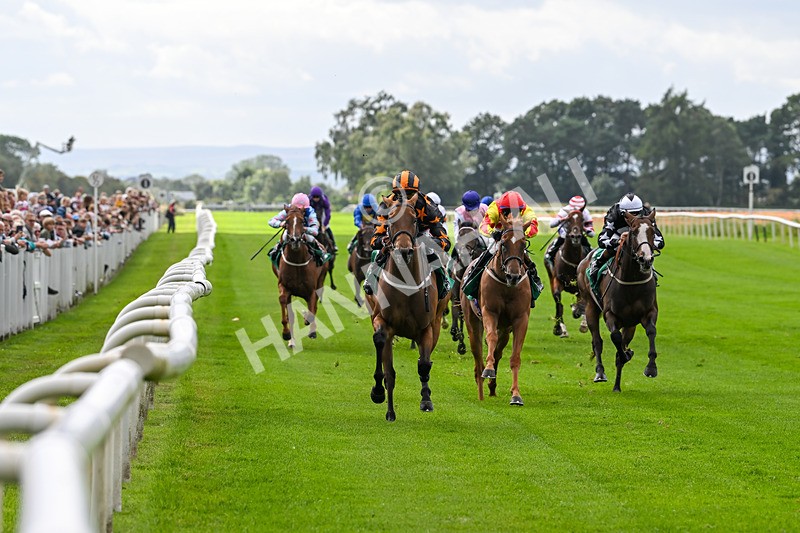 090824-Race 3-South Parade-4488 - Race 3