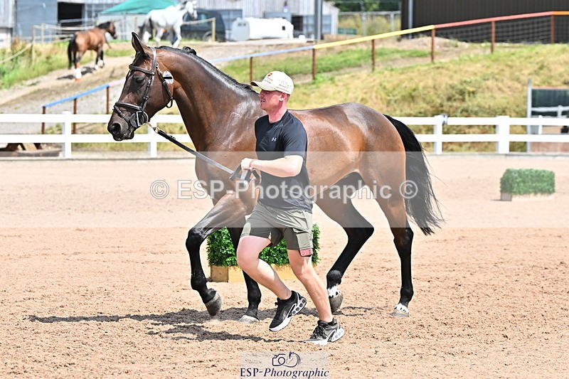 240718A-105314-01728 - Trot Up 1pm to 2pm