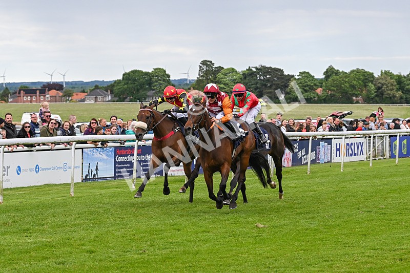 290524-Race 7-Lincoln Rockstar-7300