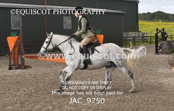JAC_9750 - CLASS 2 Novice Working Hunter (0.60m - 0.70m)