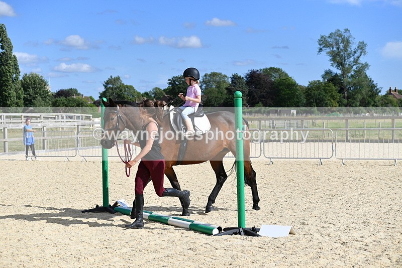 WJ5_5521 - Poles on the Floor