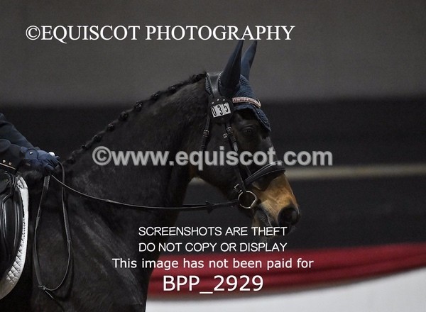 BPP_2929 - ELEM TEST 4