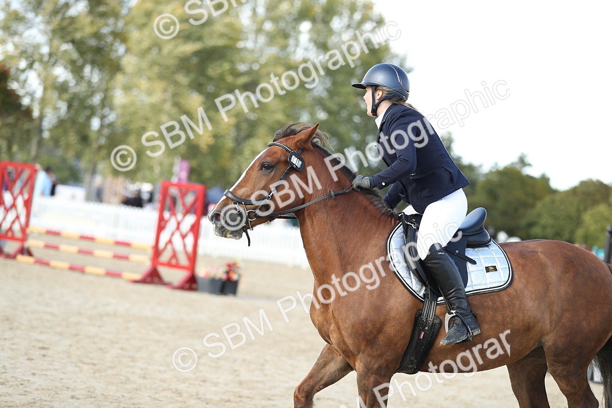 SBM_49532 - J22 - Junior Horse 65cm Championship
