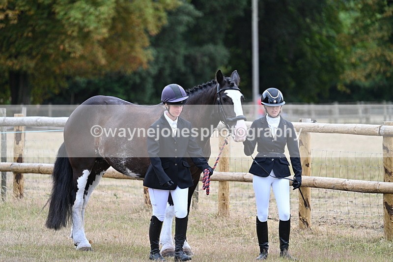 WJ7_8911 - Class 4a Prettiest Mare 14.2hh and over