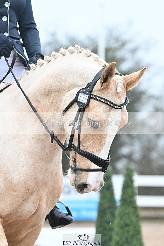 240217A-091736-00322 - 130-Kate.Kerswell-Top.Gun.RB