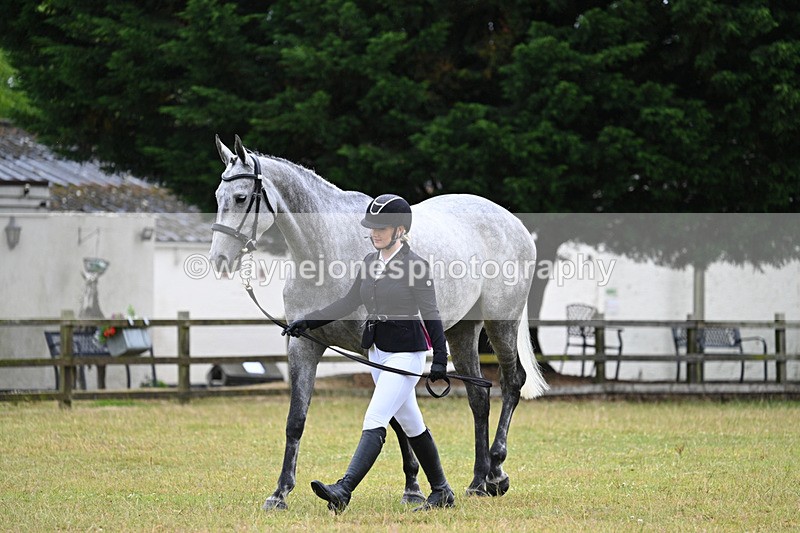 WJ7_6223 - Class 4a Prettiest Mare over 14hh
