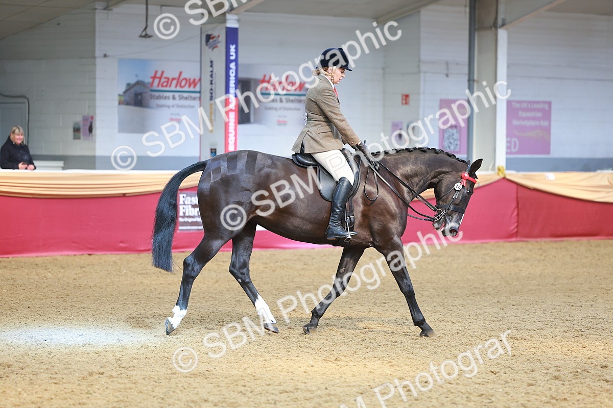 SBM_10601 - Class 103 - HOYS Veteran Qualifier - Ridden Pre Vet