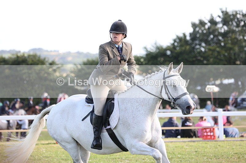 JPP_3385 - Class 22: Working Hunter 90cm