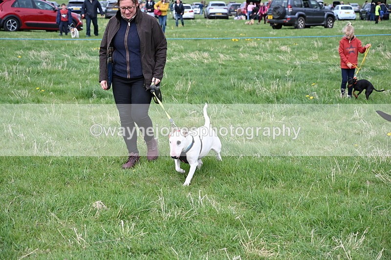 WJ6_8117 - Class 2 Best Pedigree