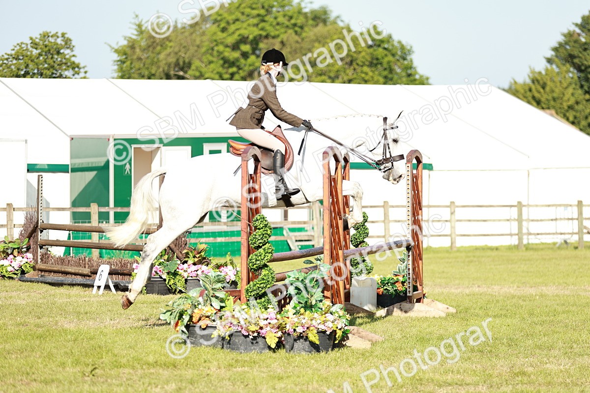 SBM_19932 - Class 115-116 - LIHS BSHA Rising Star Working Hunter & Show Horse