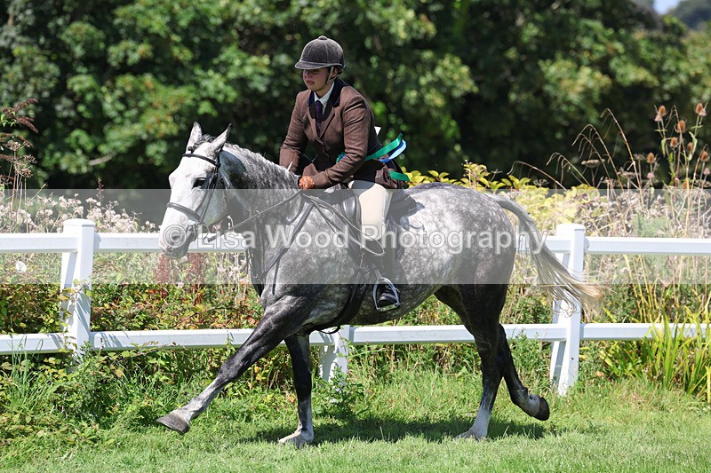 3E7A9251 - Working Hunter Championship