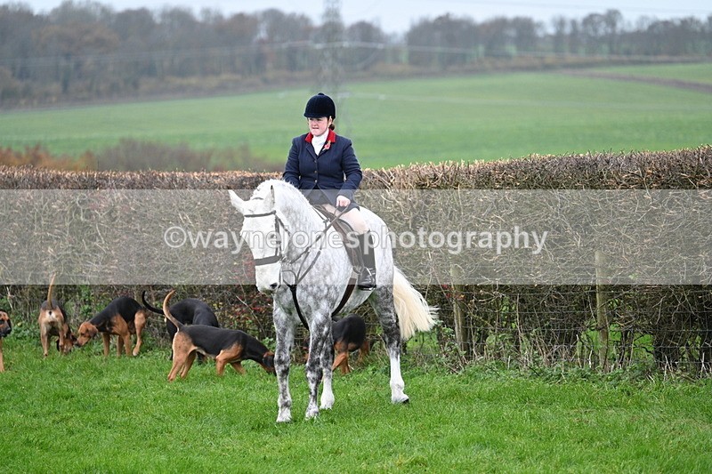 WJ7_8813 - Meet Staff & Hounds