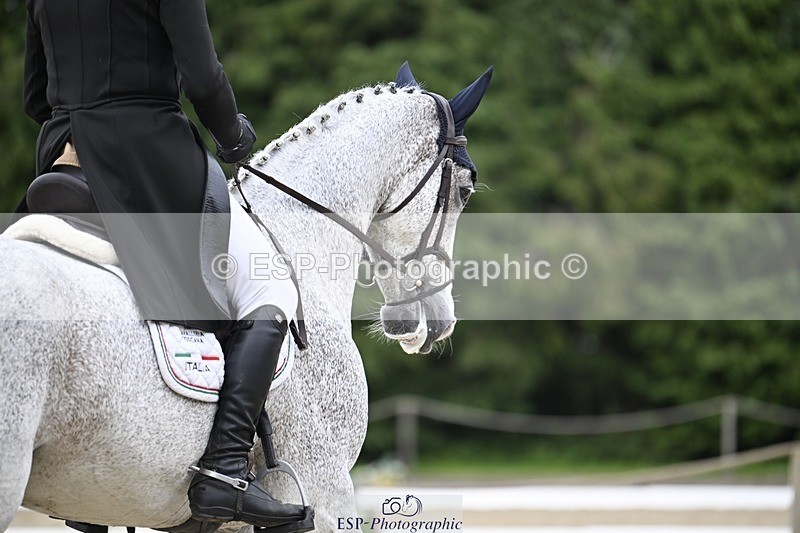 240523-171509-05673 - 451-CORNISH_REBEL-Alberto_Giugni