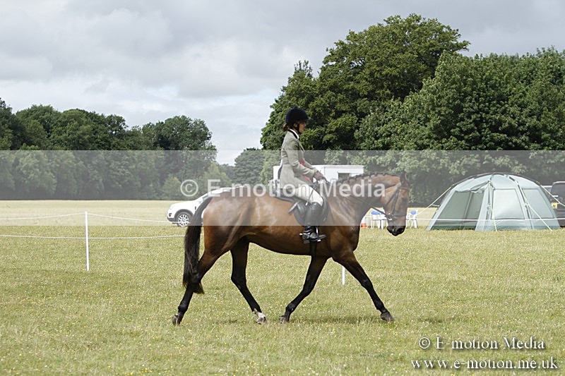 BVR160717-2283 - Working Hunter Championship 16/07/17