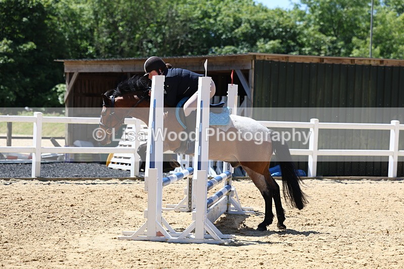 3E7A2637 - Class 4/5: 60cm Open Teams and Individuals