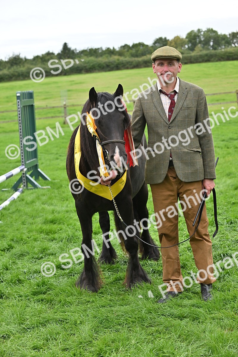 SBM_65046 - In Hand Pony & Younstock Supreme Championship