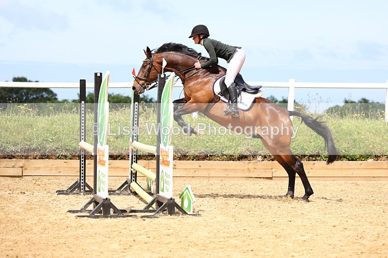 3E7A3268 - Class 4: Senior British Novice/90cm open