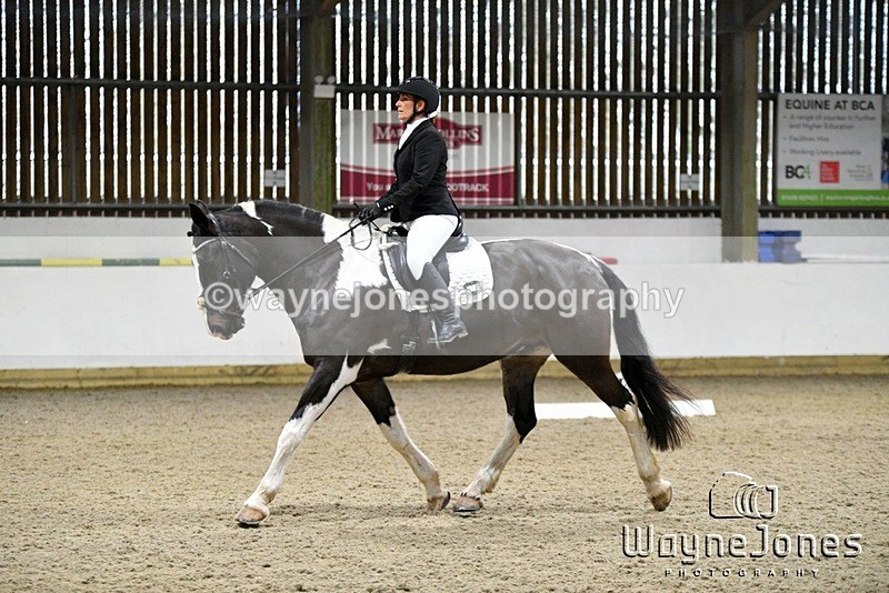 WJ5_8009 - Edited examples