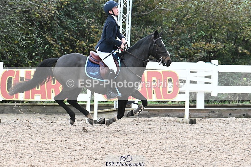 231118A-130719-02062 - Cls 6 BlueChip Pony Sapphire Qualifier