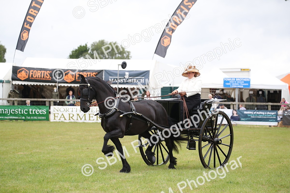 SBM_05749 - Class 12-15 - HOYS Private Driving