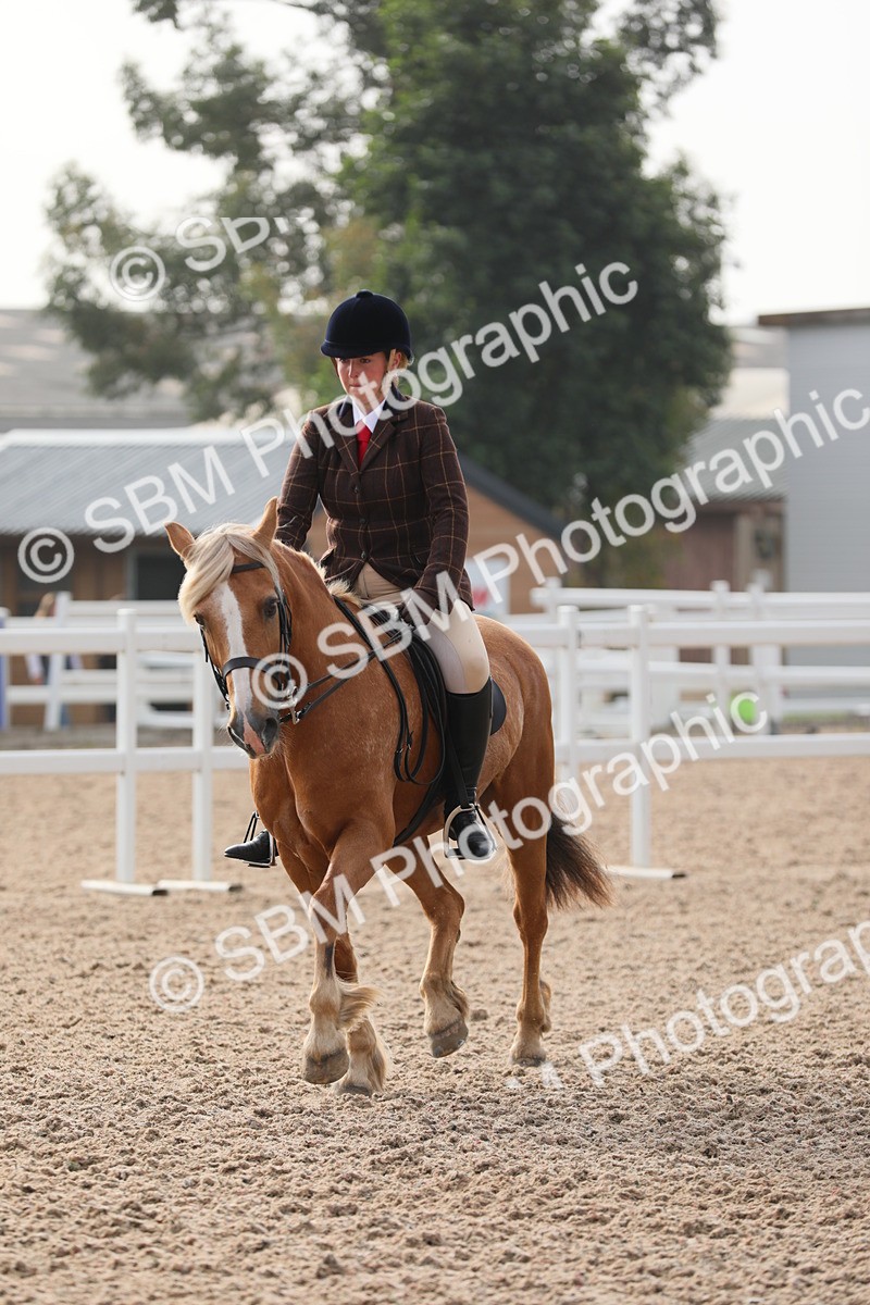 SBM_10087 - Class 302 Ridden M&M -Large Breeds