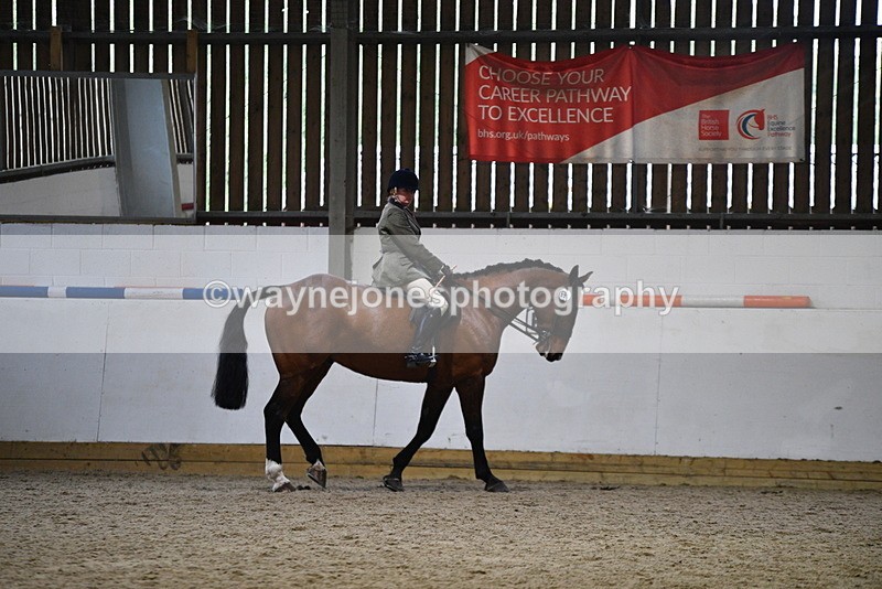 WJ5_8893 - Class 15 Ridden Show Horse