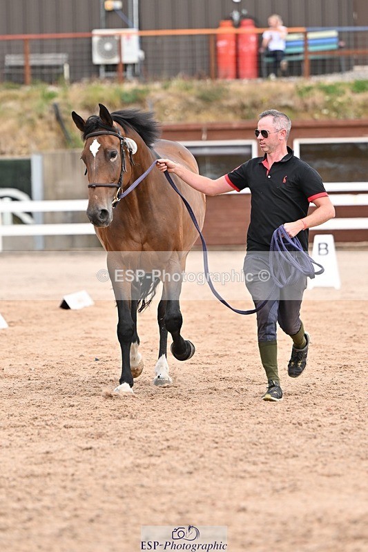 250716-151719-01845 - Trot Up 2.30 to 3.30