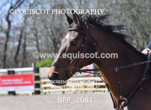BPP_2081 - CLASS 21 SUN Senior 1.30m Open RHS Young Masters