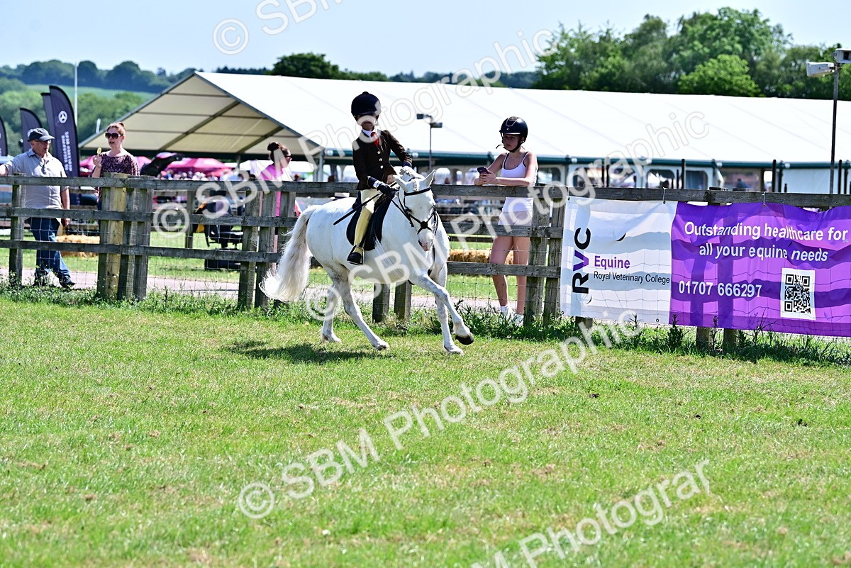 SBM_13976 - Class 95-97 - BSPS LHS Performance Ponies