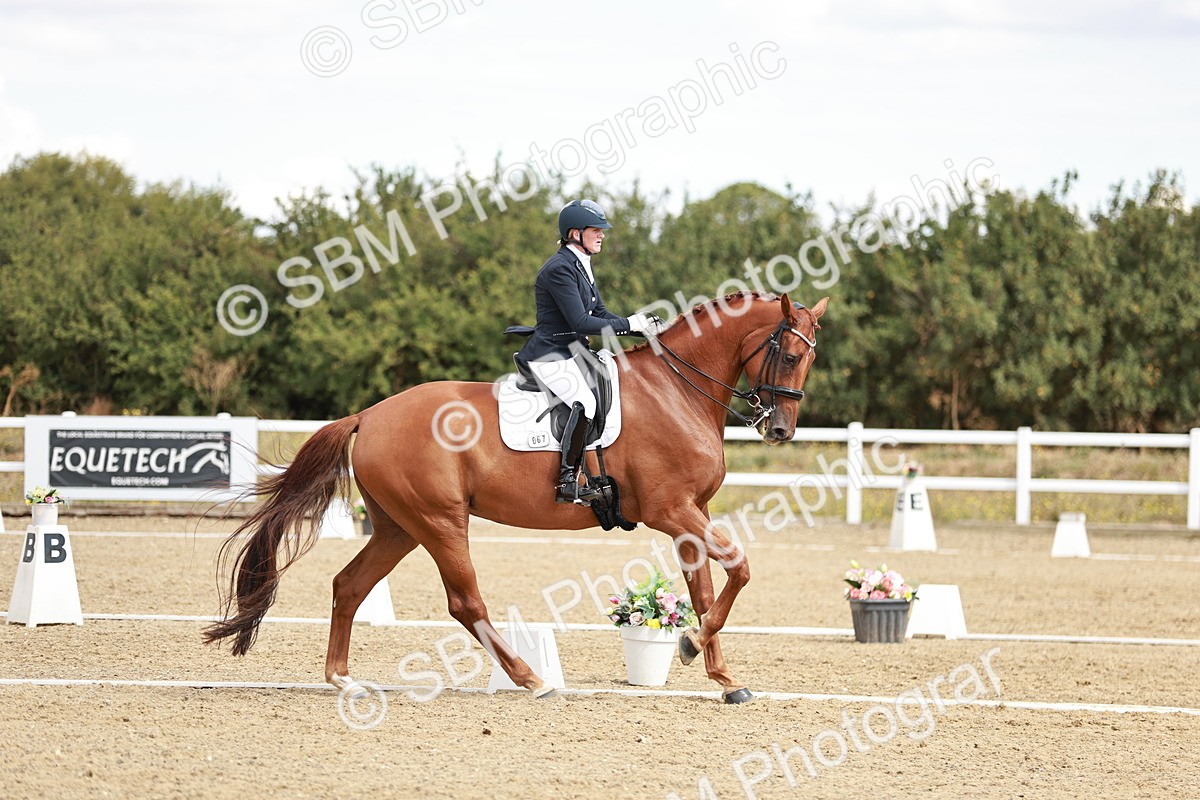 SBM_009417