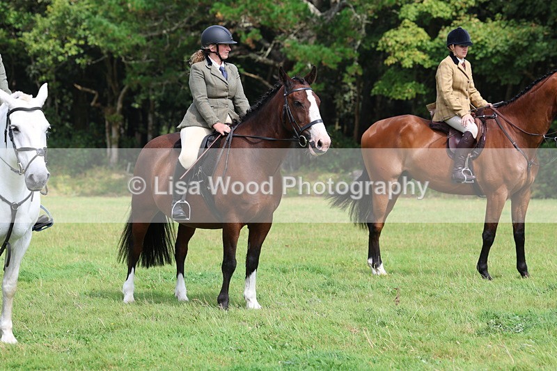 3E7A5903 - Class 26 and 27: 70cm Working Hunter