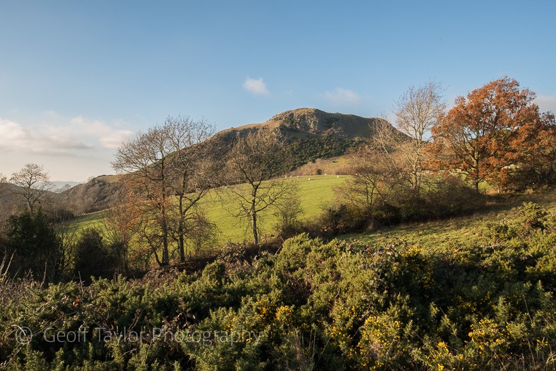 4384 Roundton Hill - Corndon Hill
